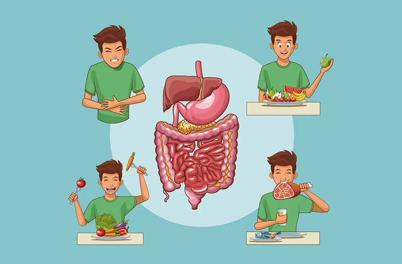 Thói quen ăn uống sai lầm ảnh hưởng đến hệ tiêu hóa